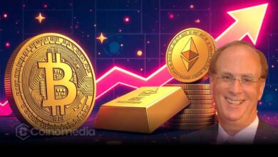 BlackRock CEO Larry Fink discusses crypto as an alternative like gold