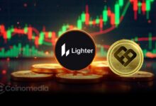 Lighter perp volume leads DeFi trading at $11.89B