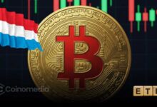 Luxembourg sovereign wealth fund invests in Bitcoin ETFs