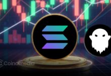 New-Wallet-Withdraws