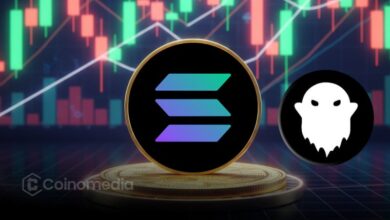 New-Wallet-Withdraws