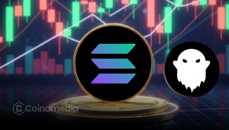 New-Wallet-Withdraws