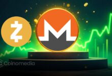 Chart showing surge in privacy coin market cap with Monero and Zcash leading