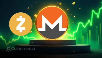 Chart showing surge in privacy coin market cap with Monero and Zcash leading