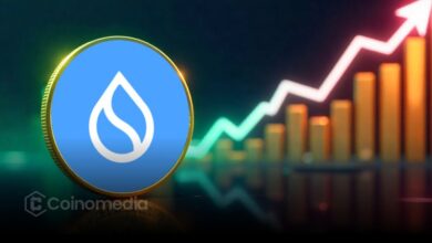 Chart showing SUI DEX volume reaching all-time high in October