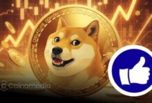 Dogecoin integration for Thumzup user payouts