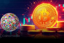 Global map showing Bitcoin holdings by country