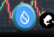 Typus Finance on SUI Faces Issues—Users Urged to Stay Cautious