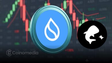 Typus Finance on SUI Faces Issues—Users Urged to Stay Cautious