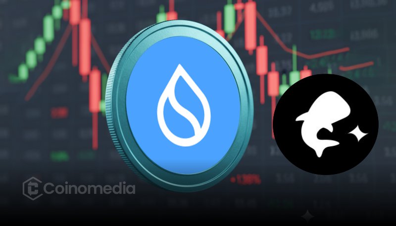 Typus Finance on SUI Faces Issues—Users Urged to Stay Cautious