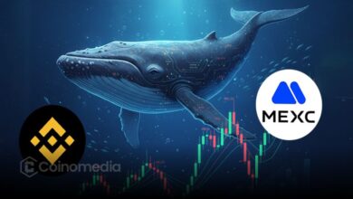 Whale buys WBULL after withdrawing BNB from MEXC