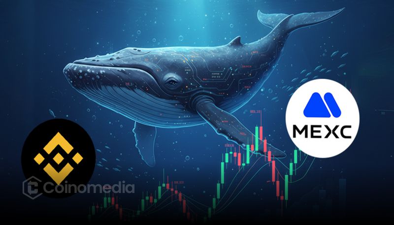 Whale buys WBULL after withdrawing BNB from MEXC