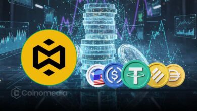 YZi Labs invests $50M in multi-stablecoin payment infrastructure