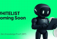 Here’s What is the Verification Game Behind Zero Knowledge Proof (ZKP) Before Whitelisting Starts