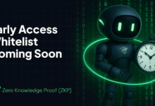 Zero Knowledge Proof Whitelist Coming Soon: The Renaissance of Privacy