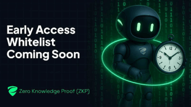 Zero Knowledge Proof Whitelist Coming Soon: The Renaissance of Privacy