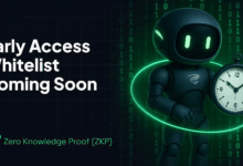 Rising Speculation Follows the Zero Knowledge Proof (ZKP) Whitelist Announcement