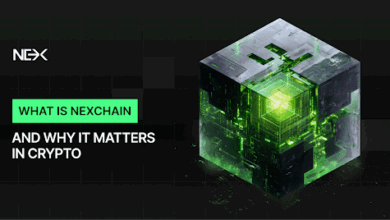 Ethereum ETF Inflows Surpass Bitcoin ETFs: Is This Crypto Presale Set to Surpass All Other Projects Next, with a 100% Testnet Bonus?