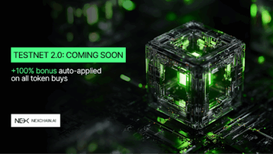 Nexchain Presale Joins 2025 Leaders With Clear Roadmap