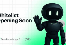 Privacy Is the Next Gold Rush: Here’s Why Everyone is Waiting for Zero Knowledge Proof (ZKP) Whitelist