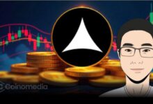 Alliance DAO QwQiao warns of next crypto bear market drop