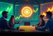 Whale activity BNBHolder token purchase post Binance Alpha listing