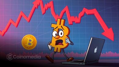 Chart showing Bitcoin daily losses reaching $900 million