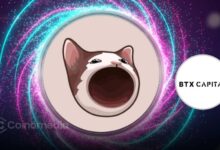 POPCAT price manipulation chart linked to BTX Capital on Hyperliquid