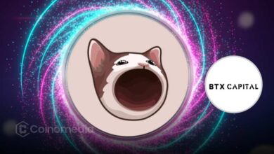 POPCAT price manipulation chart linked to BTX Capital on Hyperliquid