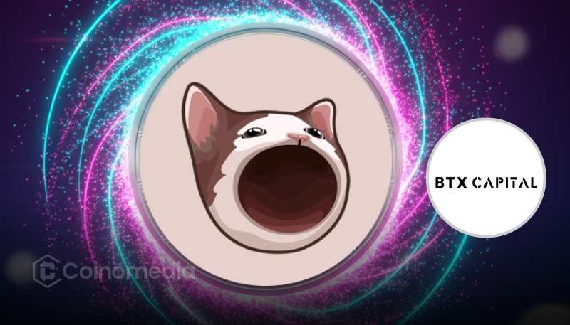 POPCAT price manipulation chart linked to BTX Capital on Hyperliquid