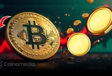 Chart showing Bitcoin dominance at 55% amid crypto market correction