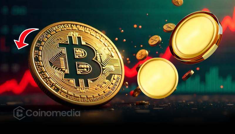 Chart showing Bitcoin dominance at 55% amid crypto market correction