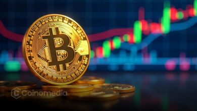 Chart showing Bitcoin exchange outflows indicating bullish sentiment