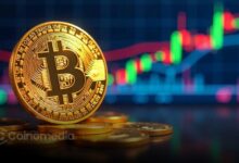 Institutional BTC demand outpaces Bitcoin supply in 2024 chart