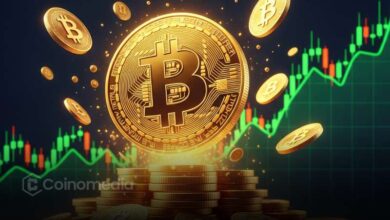 Binance BTC Reserves Drop by 8,181 Since October 1