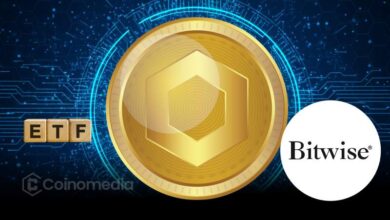 Bitwise Chainlink ETF listed on DTCC platform indicating ETF readiness