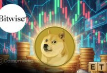 NYSE approves Bitwise Dogecoin ETF listing for traditional market access