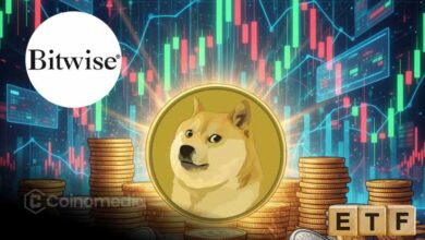 NYSE approves Bitwise Dogecoin ETF listing for traditional market access