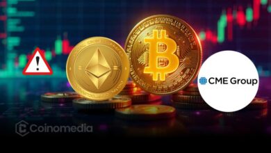 CME Globex trading halted due to technical issue