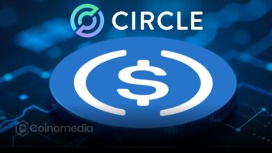Circle logo with USDC coin symbol representing $500 million minting of stablecoin
