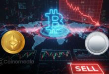 Crypto 4-Year Cycle: Is It Time to Sell?