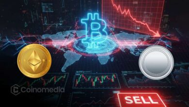 Crypto 4-Year Cycle: Is It Time to Sell?
