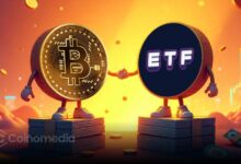 Bitcoin volatility index spikes as options market heats up