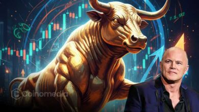 Crypto Market Outlook analysis by Mike Novogratz
