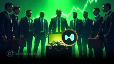 Hyperliquid daily blockchain fees lead chart