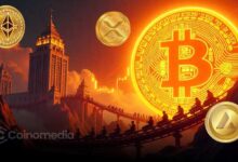 Chart showing institutional crypto investment increasing despite market crash