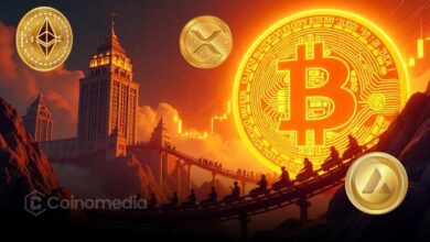 Chart showing institutional crypto investment increasing despite market crash