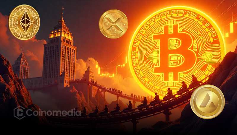 Chart showing institutional crypto investment increasing despite market crash