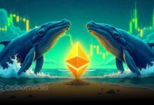 Mysterious Whale Nets $29M+ in ETH Accumulation