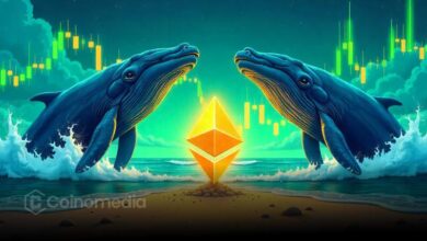Mysterious Whale Nets $29M+ in ETH Accumulation